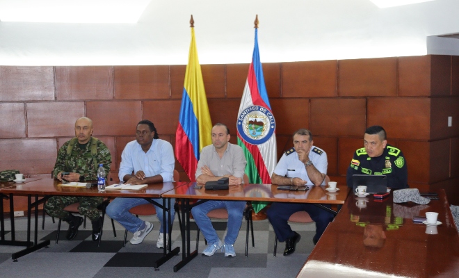 Comandante de la Policía Metropolitana, Consejos de Seguridad, el Comité de Orden Público, el Comité Civil de Convivencia