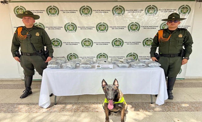 Hallazgo de sustancia estupefaciente en plan encomiendas