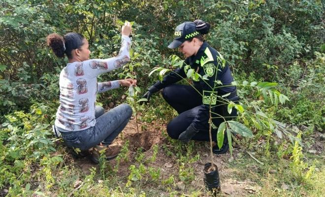 Siembran vida y esperanza en el Bosque del Águila con jornada ambiental y preventiva