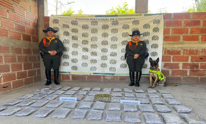 Dos polic&iacute;as y Incautaci&oacute;n de treinta mil dosis de marihuana con ayuda de un canino