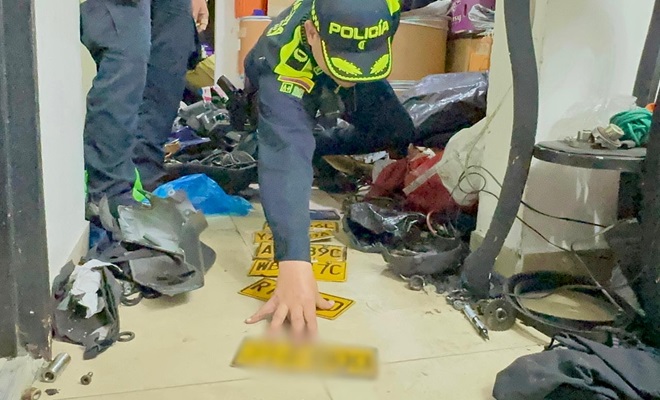 Elementos de identificación vehicular incautados