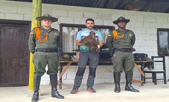 Policías de carabineros y funcionario de Coorpocaldas rescatan animal 