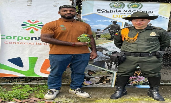 La Policía Nacional recupera especies silvestres en operativos contra el tráfico ilegal en Nariño