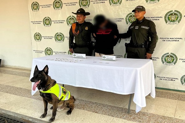 Canino antinarcóticos permite incautación de droga en terminal de Neiva
