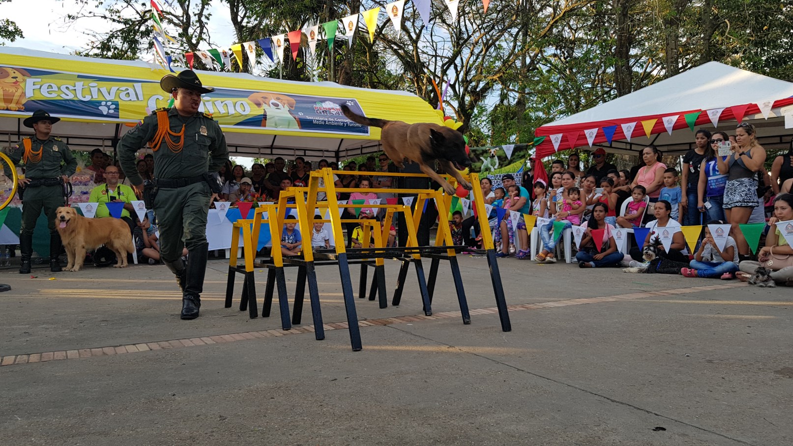 festival Canino