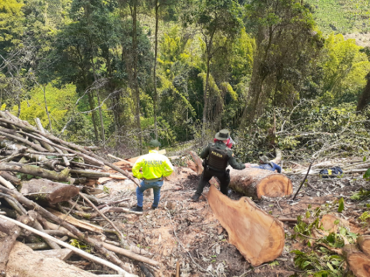 Lucha frontal contra el aprovechamiento ilícito de recursos naturales