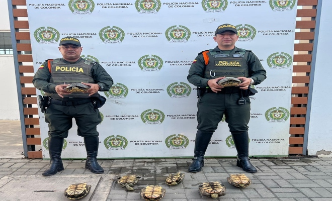 Dos policías, y elementos incautados