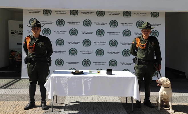 Perro antinarcóticos “Axel” detecta más de 1.500 gramos de marihuana en encomiendas en Manizales y Villamaría