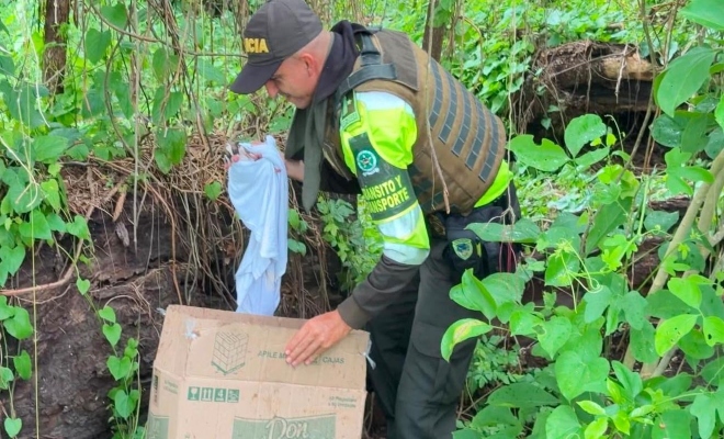 uniformado sostiene un cachorro rescatado durante una acción de protección animal