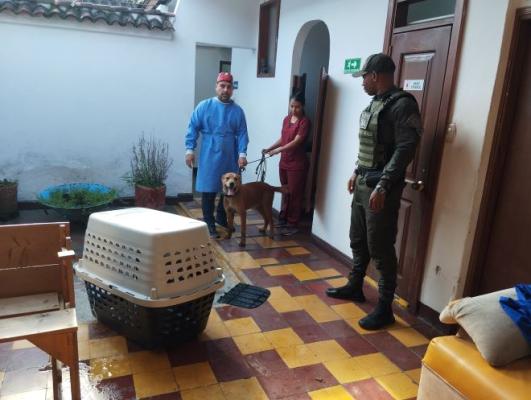 un policía al lado de un perro un veterinario y una mujer 