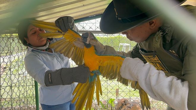 un policía con un guacamayo y una ciudadana