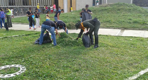 biblioparque