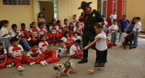 concurso_mascotas