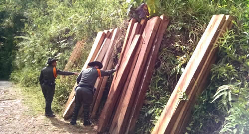 madera