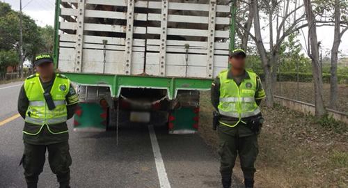 semovientes_sucre